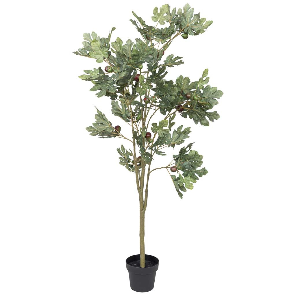 Wonderlust Deco - Planta higuera decorativa artificial verde 70x58x180h cm Verde 70x58x180h cm