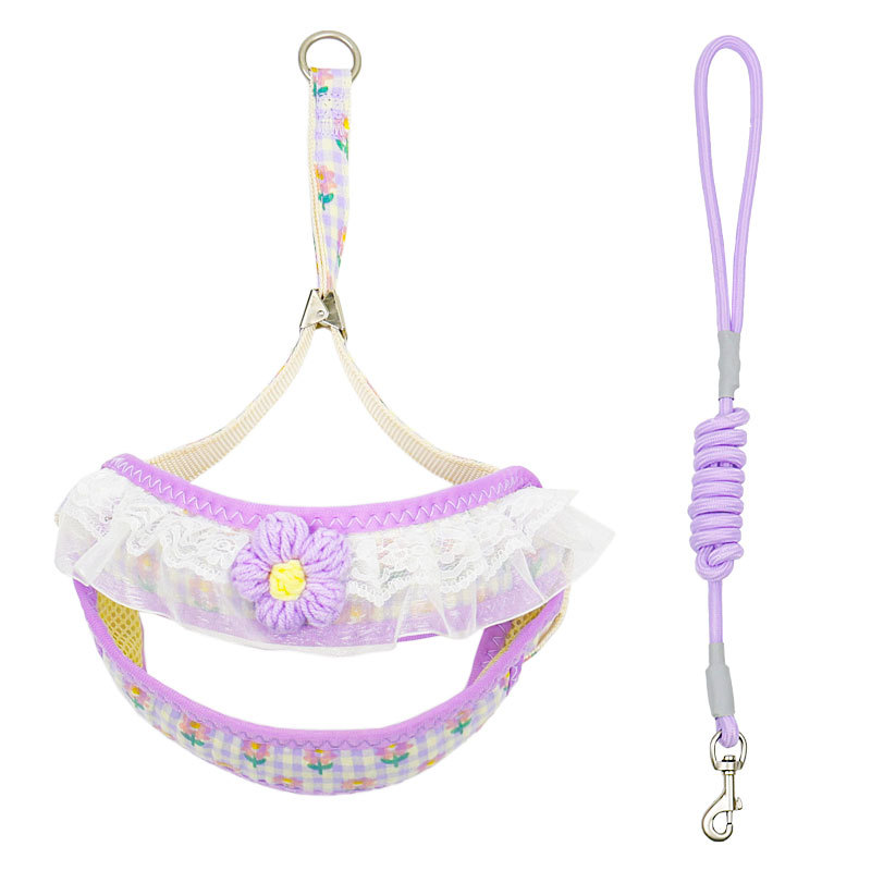 CA Cuerda de tracción para Perros, Cadena para pasear Perros, aprendizaje para el pecho para Perros Pequeños, Correa para perros pequeños, Bichón Frisé
