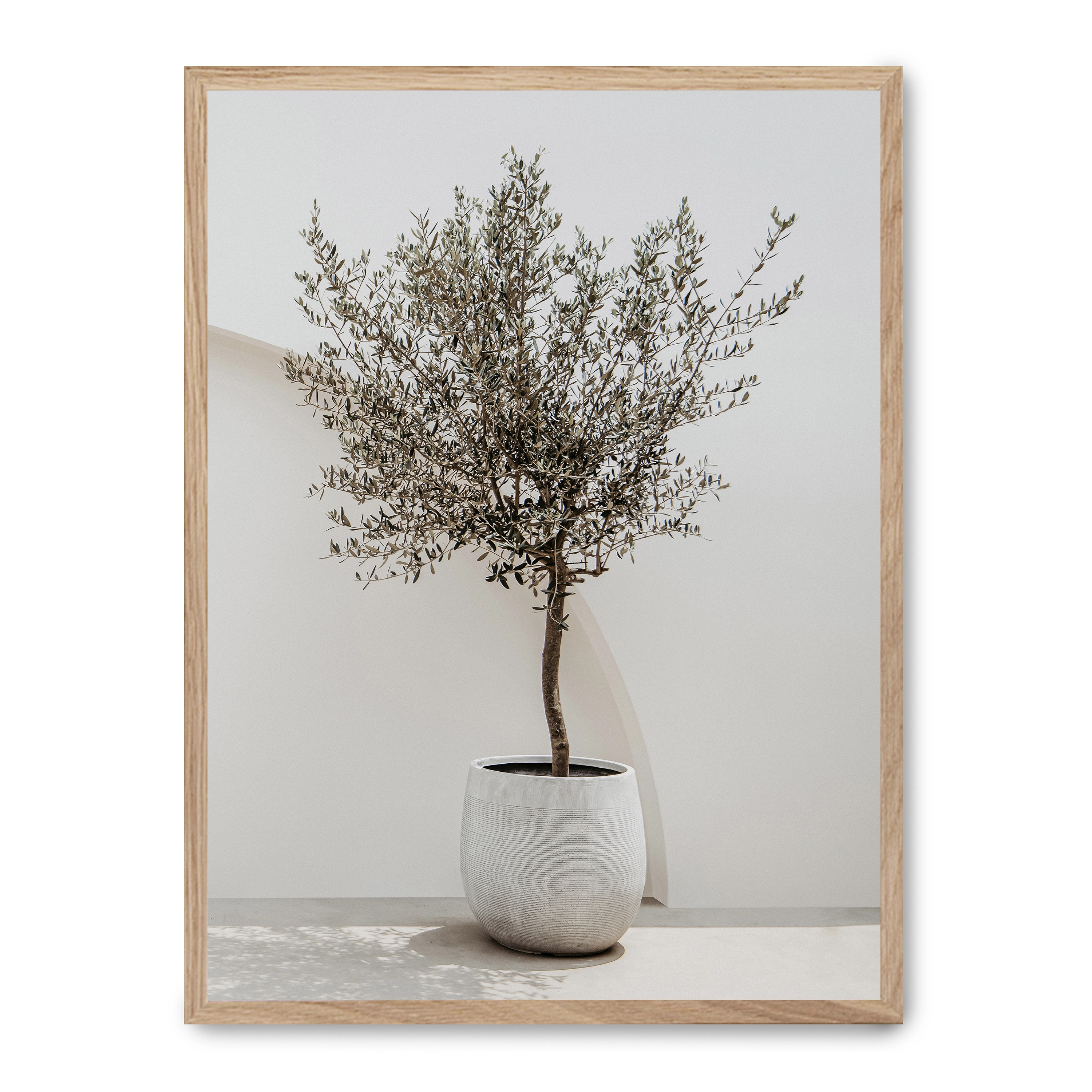 Cuadro olive perfection 30x40cm, Póster impreso en papel de primera calidad de 180gr, montado sobre marco de madera MDF acabado roble., Arquitectura