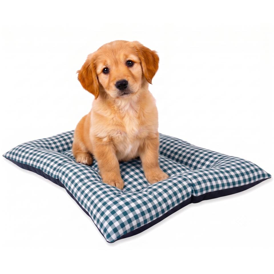 Cama para Perros Pequeños, Cachorros o Gatos. Lavable.
