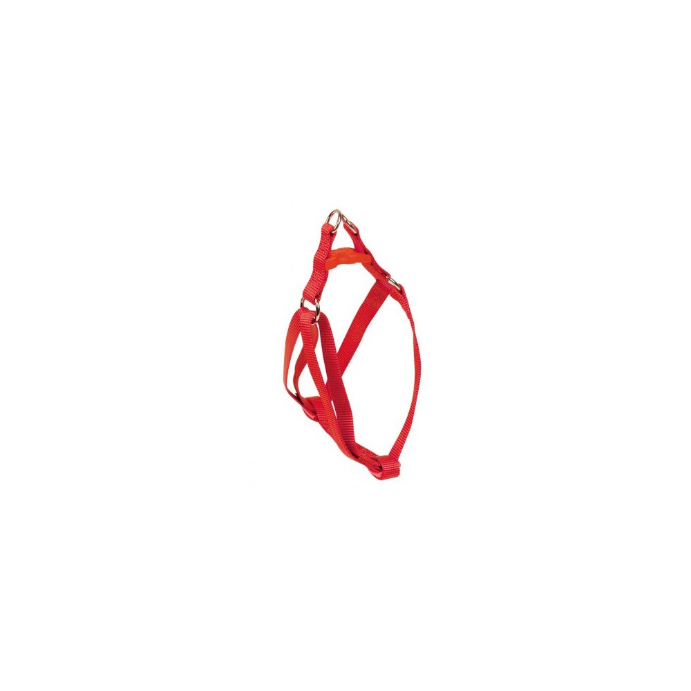 Nayeco - ARNES BASICO NYLON ROJO 20mm