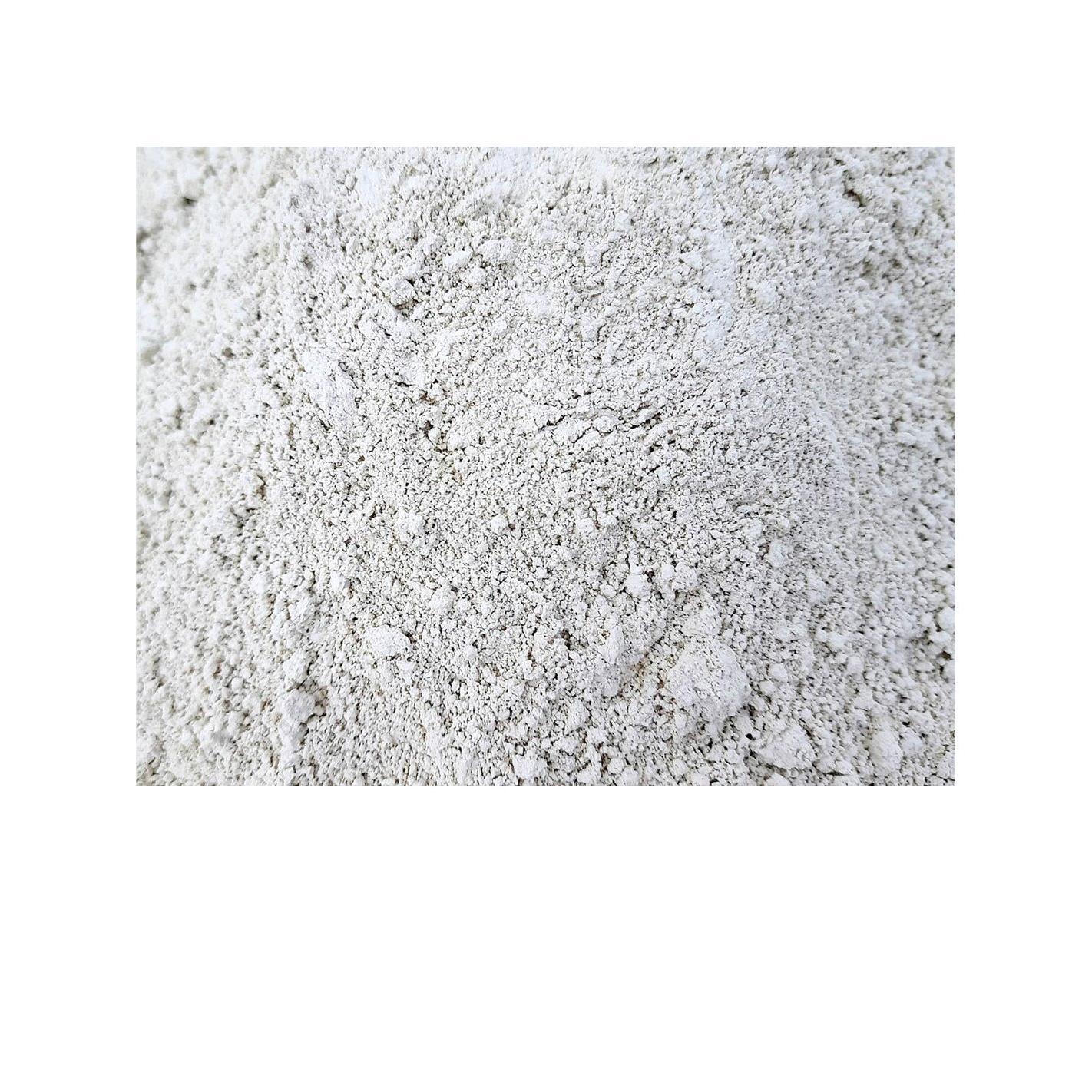 JARDIN202 - Tierra Diatomea Micronizada Natural | Múltiples usos | Tratamiento contra Insectos