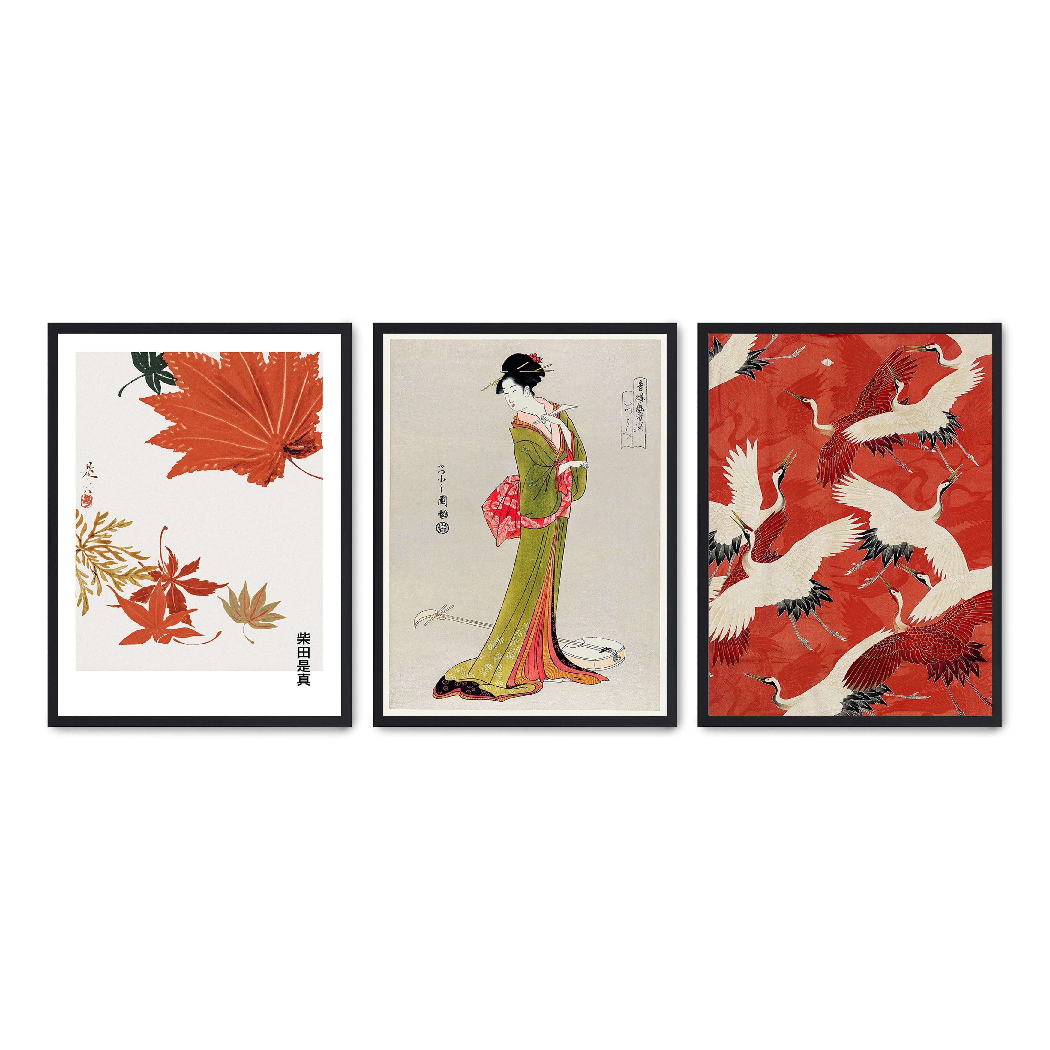 Set compuesto por tres cuadros con marco negro 30x40cm, Póster impreso en papel de calidad premium de 180gr, montado en marco de madera MDF con acabado en color negro, SETS