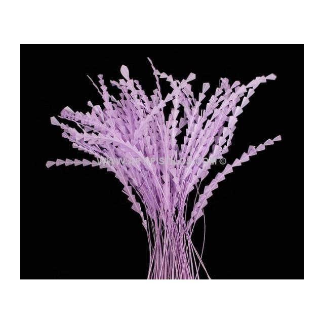 PLUMA DIAMOND 28 - 30 CMS.