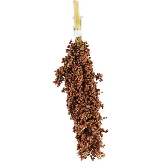 Jr Farm Suplemento Panoja de Sorgo para Pájaros (Pájaros , Comida para pájaros) - 100 gr100