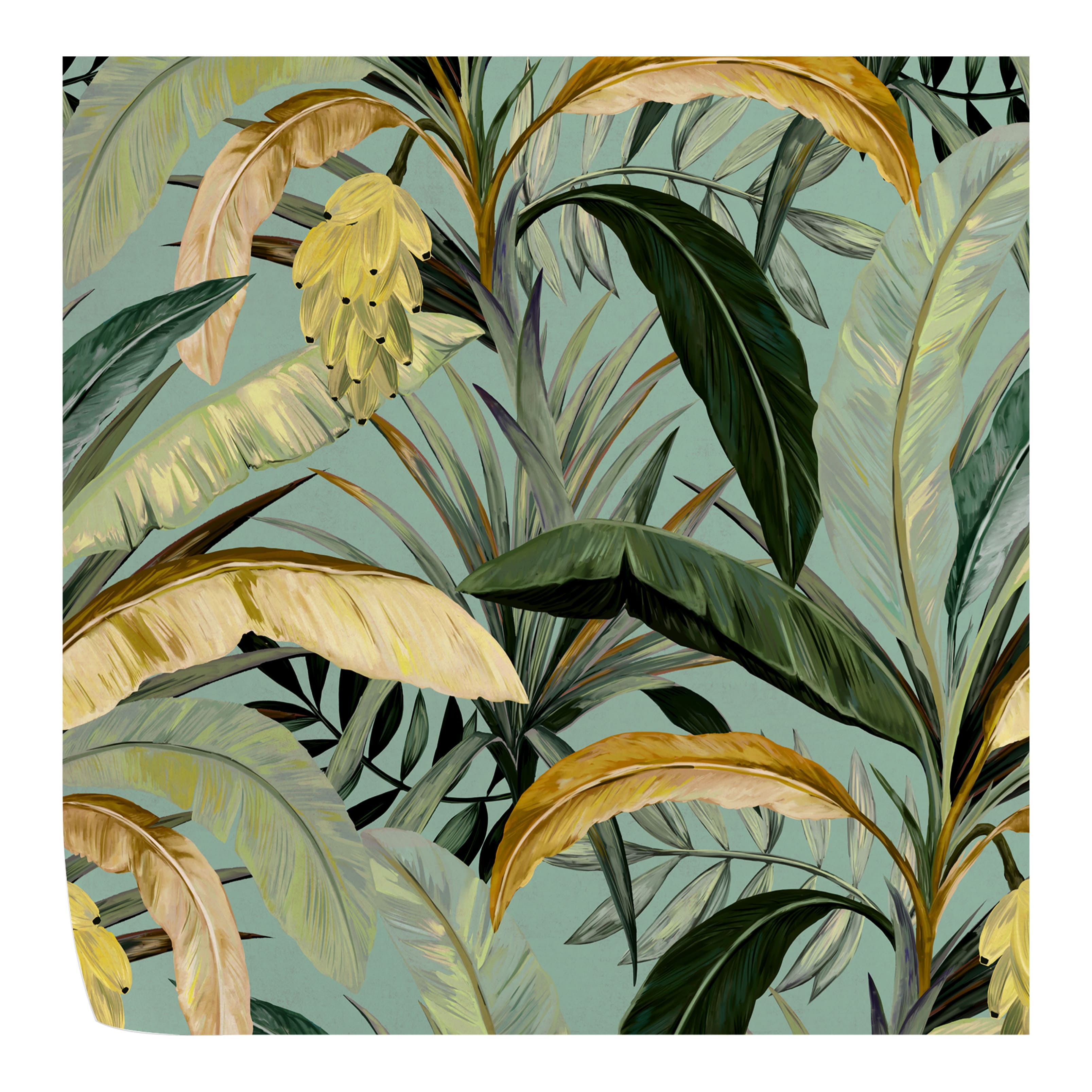 Wallpapers4Beginners Tropicali Carta da Parati Foresta Tropicale Verde