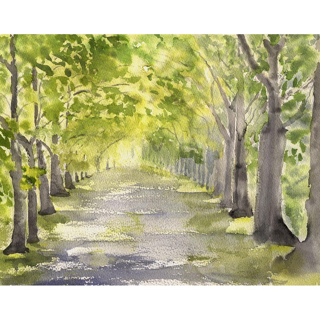 Cuadro decoración pared LIENZO SIN ENMARCAR paisaje horizontal grande "CAMINO DE VERANO" Acuarela Lienzo Alta Calidad Arboles Bosque Luz Naturaleza Arte Contemporáneo Verde Sepia Grises dorado Neutro rojizo Salón Pasillo Comedor Ref ANA DURAN A 086 A