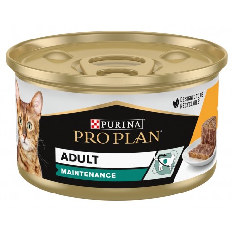 Pro Plan Adult Maintenance Pollo Tarrina Gatos 85 Gr