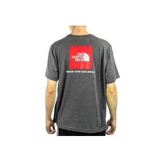 Camiseta  The North Face  Red Box  Gris