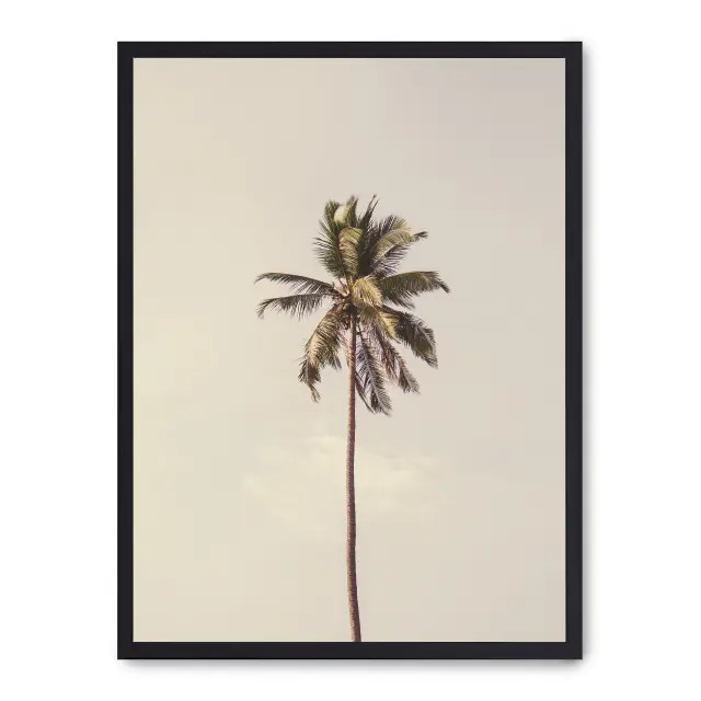 Lámina con marco negro PALM TREE AND SKY III 21x30 cm, Póster impreso en papel de primera calidad de 180gr, montado sobre marco de madera MDF acabado en negro., Botánica - Palmeras