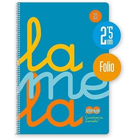 LAMELA BLOC ESPIRAL FOLIO 80H 90GR CUADROVIA 2 5MM PLASTIC AZUL CAJA:5 unidades CUADERNOS