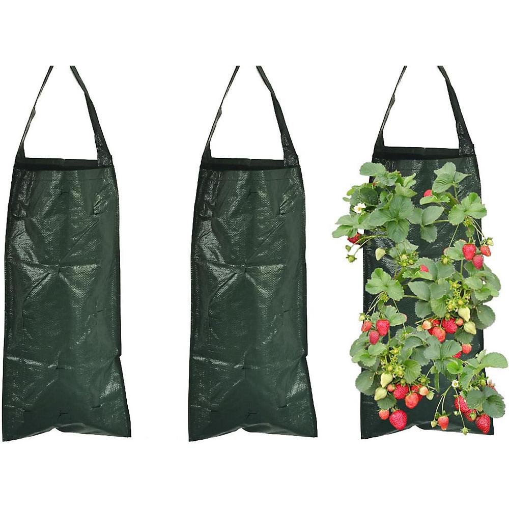 CA Paquete de 3 bolsas de cultivo transpirables con 10 agujeros (verde oscuro)