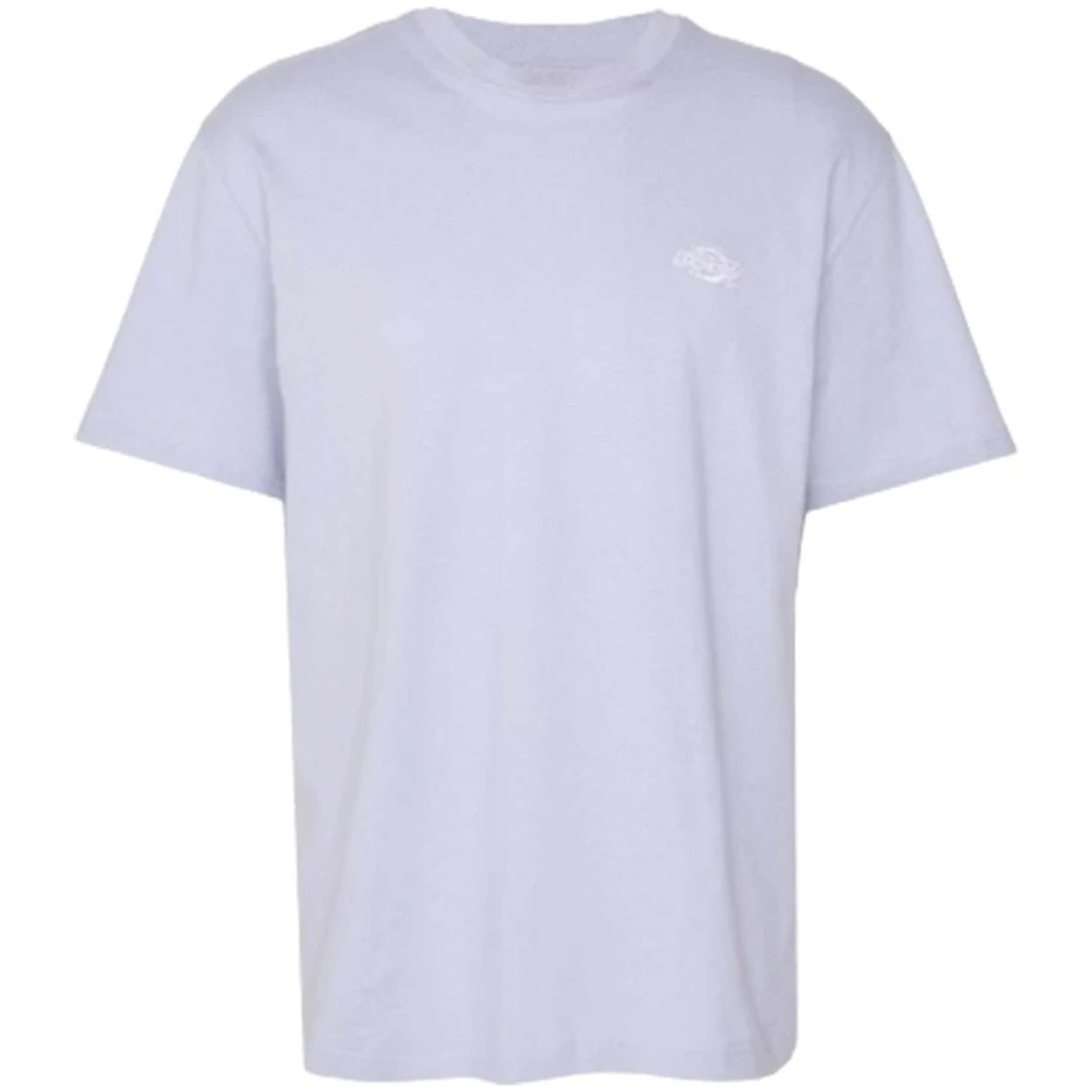 Camiseta Dickies Summerdale Ss Tee