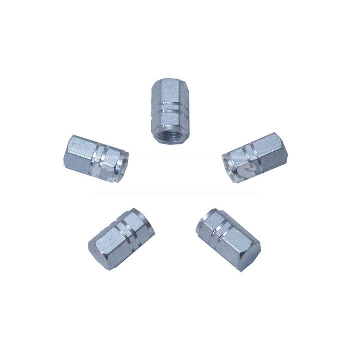 Kit 5 Tapones Válvula Aluminio 72216009