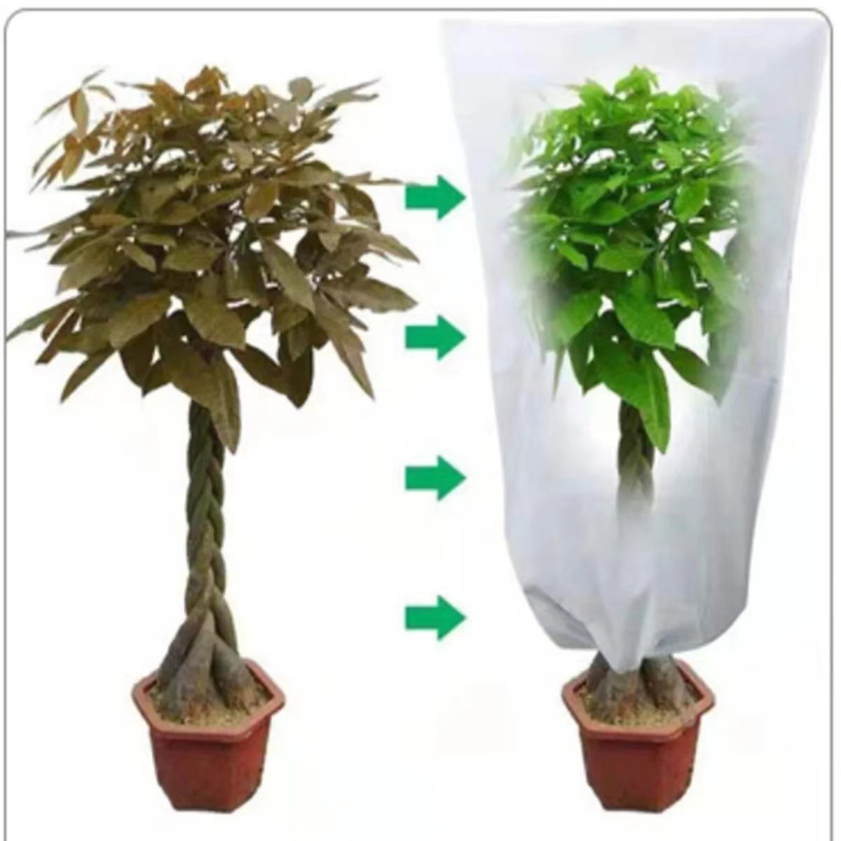 CA Cubierta antifreeze para Plantas engrosada, cubierta no Tejida para Plantas Frías, cubierta protectora para árcoles y plantas de Invierno