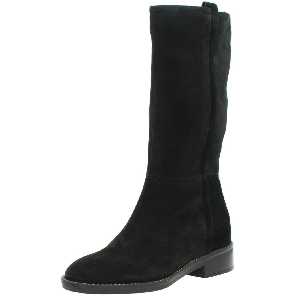 Botas Mujer Marca Geox Modelo D Larysse