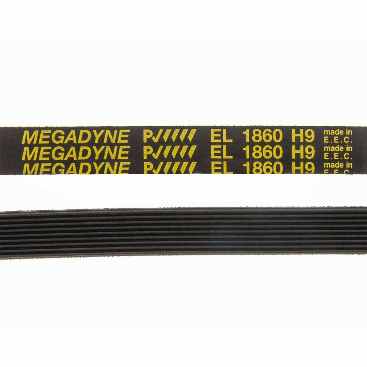 Correa Secadora EL 1860 H9 145707 1860 mm IS60 compatible con Indesit, Modelos: TVF760A, WT5011