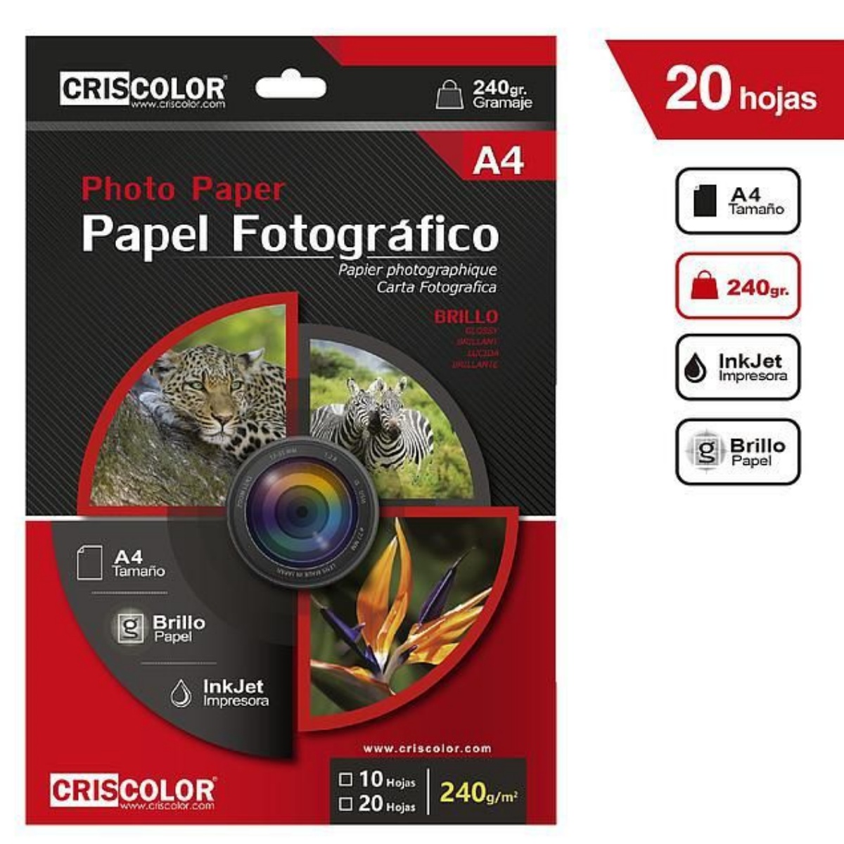 ZYLX SHOPPING -  Pack 20 Hojas Papel Fotográfico Brillante A4 180g/240g para Inkjet, Alta Resolución, Secado Rápido