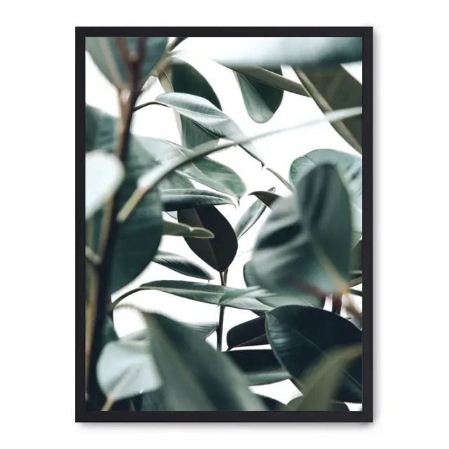 Lámina con marco negro LEAVES I 21x30 cm, Póster impreso en papel de primera calidad de 180gr, montado sobre marco de madera MDF acabado en negro., Botánica - Naturaleza - Playantas