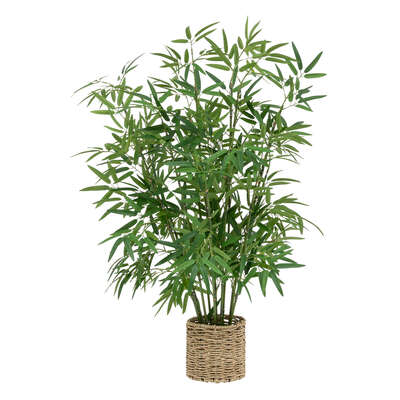 Planta Bambú con Maceta Natural - 100 Cm de Alto | Factory Cuadros