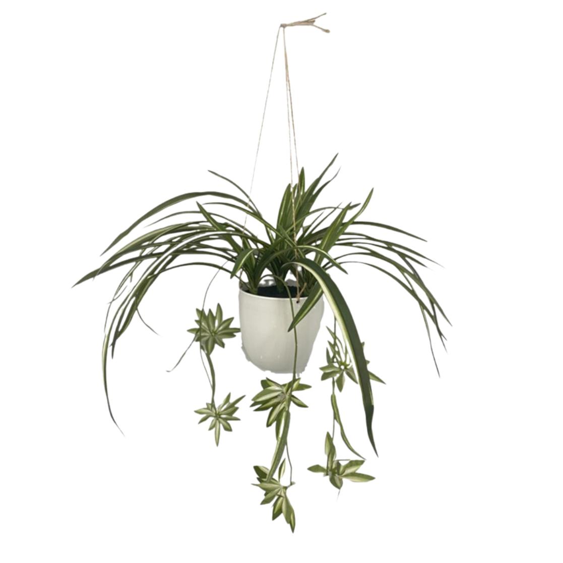 GERIMPORT MACETA COLGAR CINTAS 60 CM