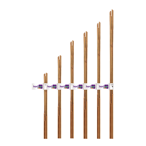 FLOWER HORT UP Tutor Bambú Natural, Ø 6-8 mm, 0,60 m, Pack 6 Uds