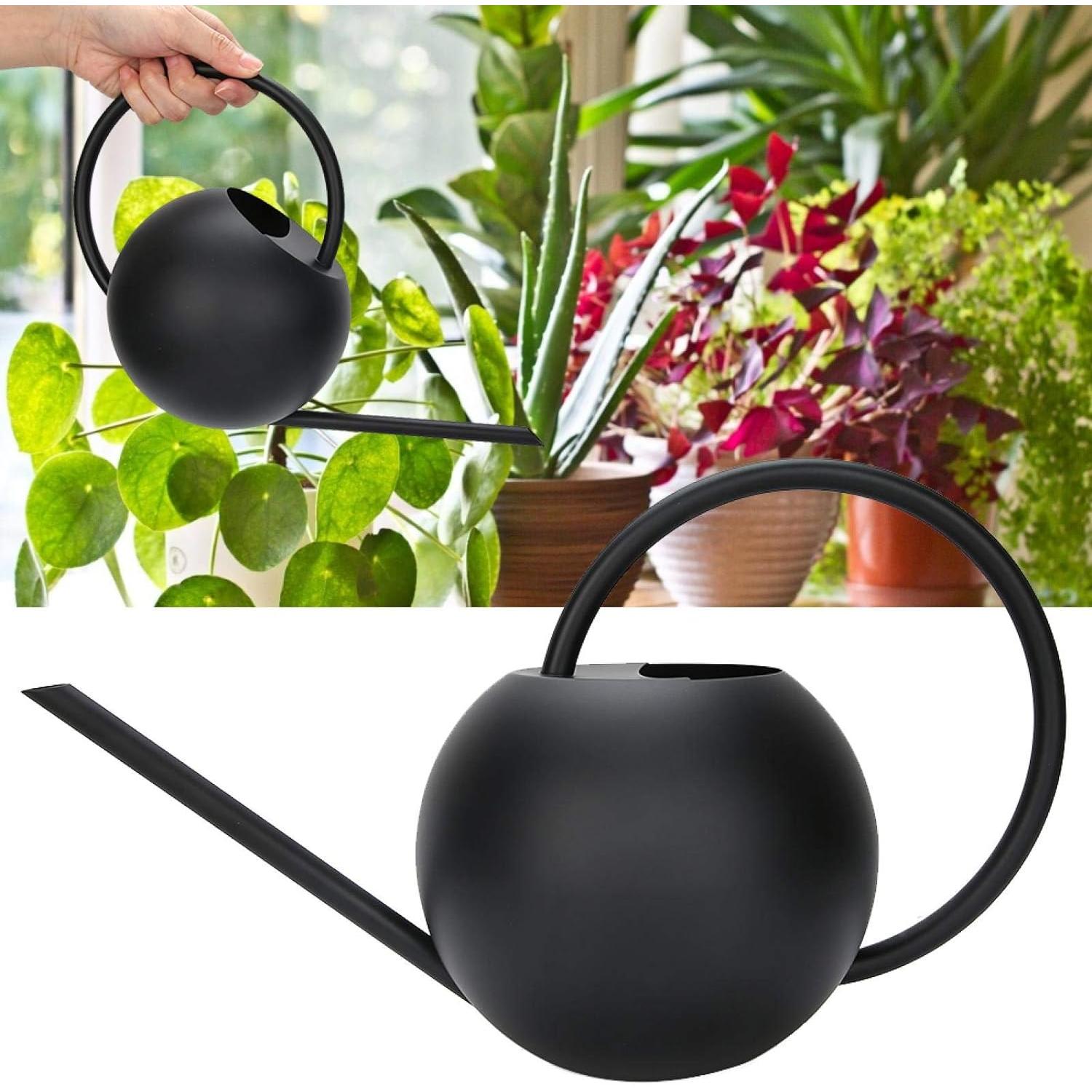 Regadera de 1L en Acero Inoxidable Práctica para el Hogar y Planta de Interior