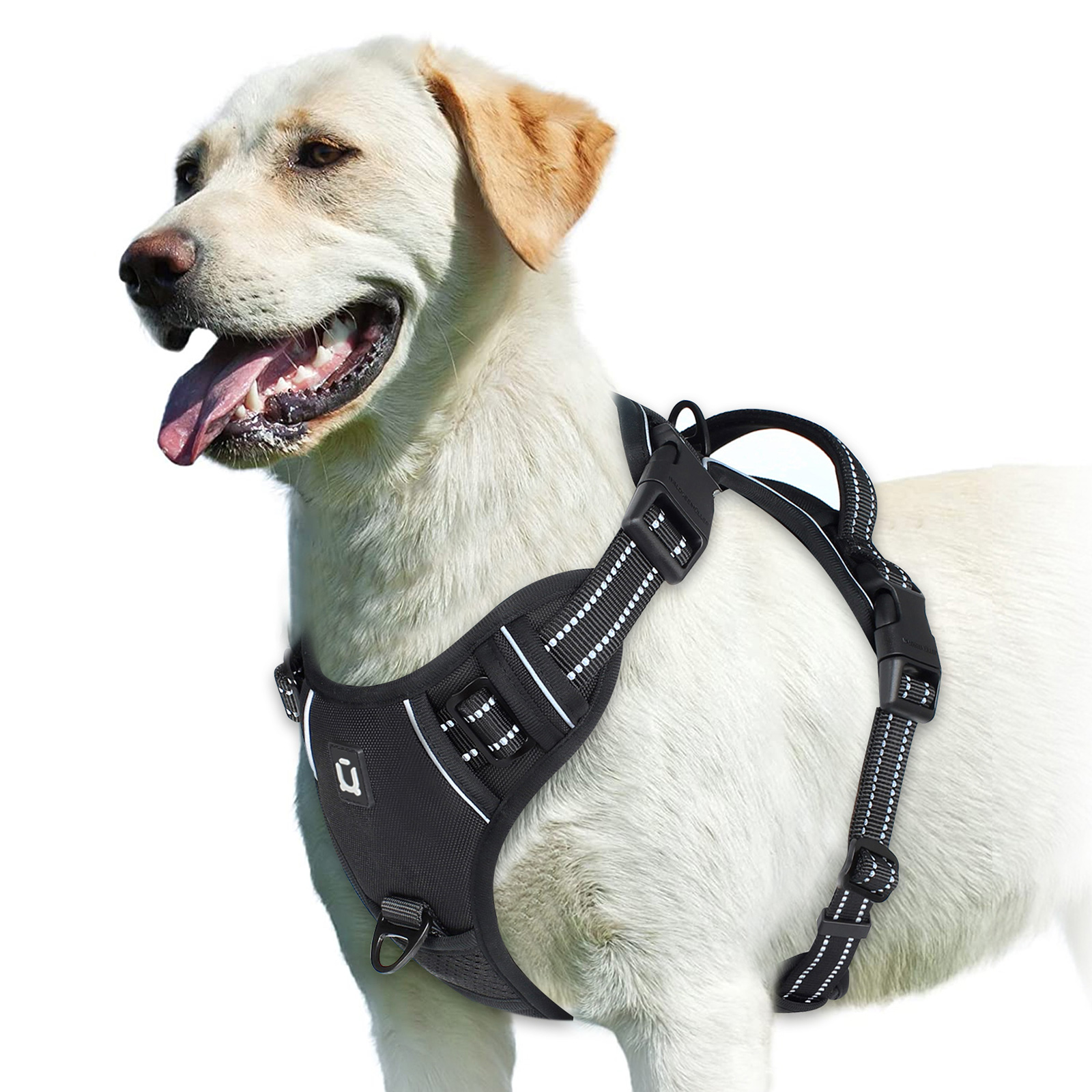 TK Alforja Para Perro Sin Pulling Con Correa De Control Fácil Y Peto Suave Ajustable Vestido De Mascota Para Adultos