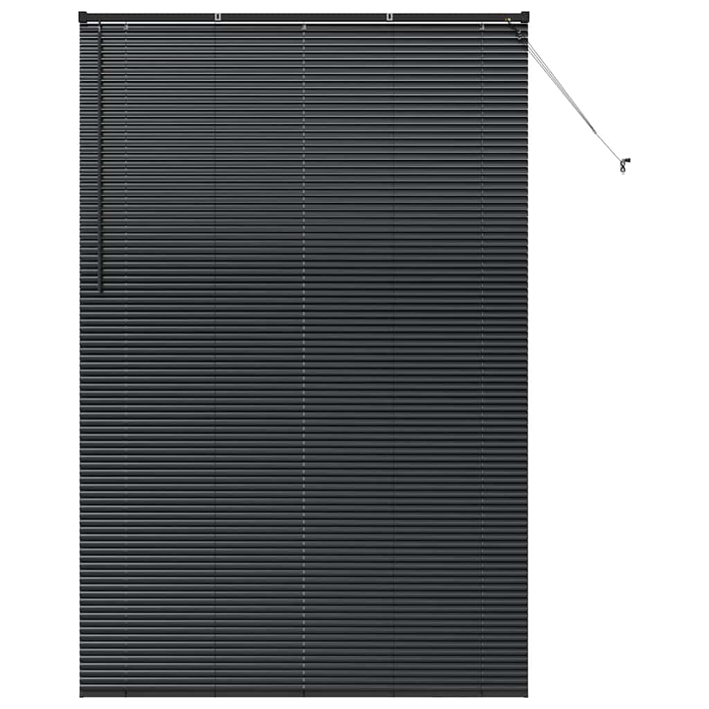vidaXL Persianas venecianas Manual Negro 220 x 145 cm Aluminio