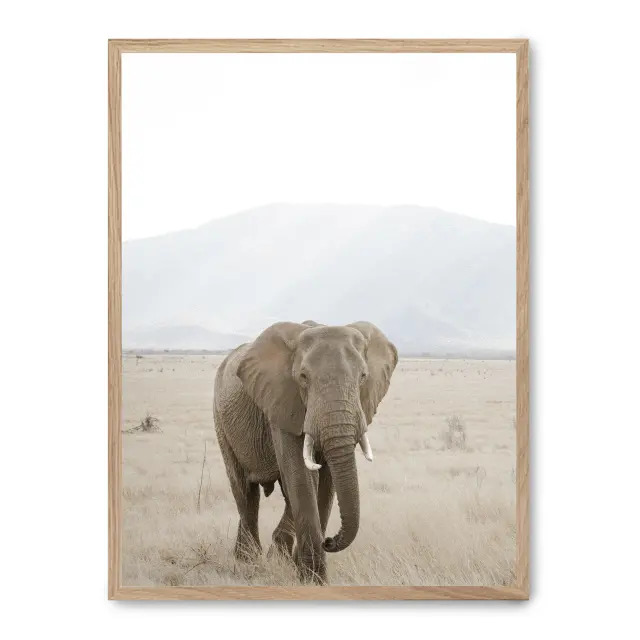 Cuadro elephant in the savana i 30x40cm, Póster impreso en papel de primera calidad de 180gr, montado sobre marco de madera MDF acabado roble., Naturaleza - Safari