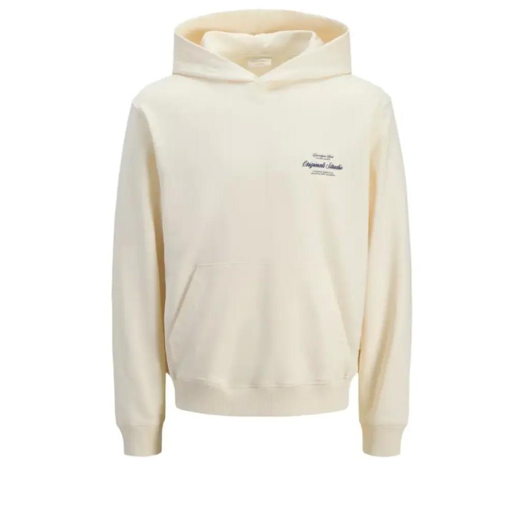 Sudadera con capucha Impresin posterior 12283054 BG