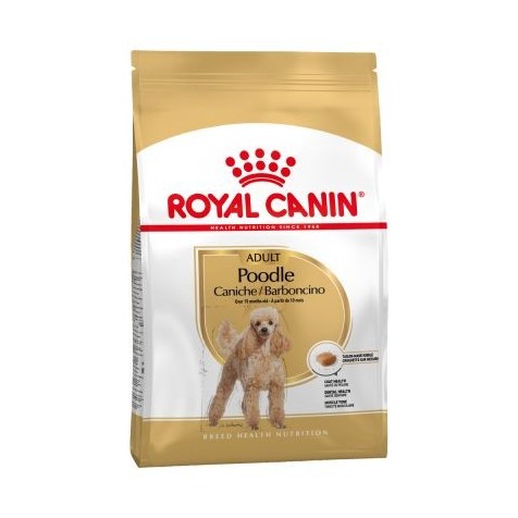 Royal Canin Adult Caniche 1.5 Kg