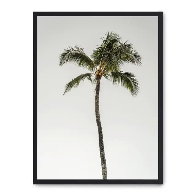 Cuadro palm tree by the beach 30x40cm, Póster impreso en papel de primera calidad de 180gr, montado sobre marco de madera MDF acabado en negro., Botánica - Palmeras