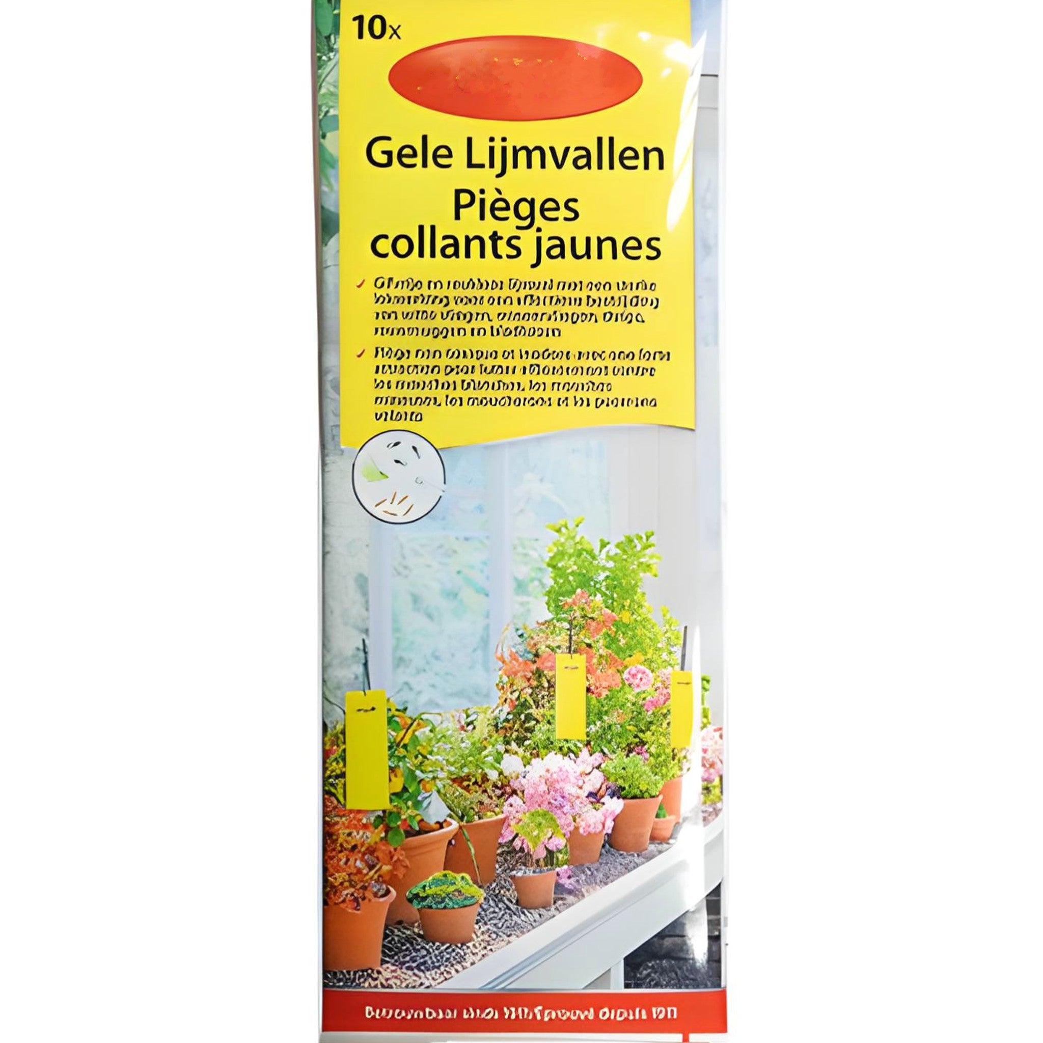 BricoLoco.com 10 uds. Trampa de pegamento no tóxico amarilla para macetas y jardín 25x10 cm Anti Plagas