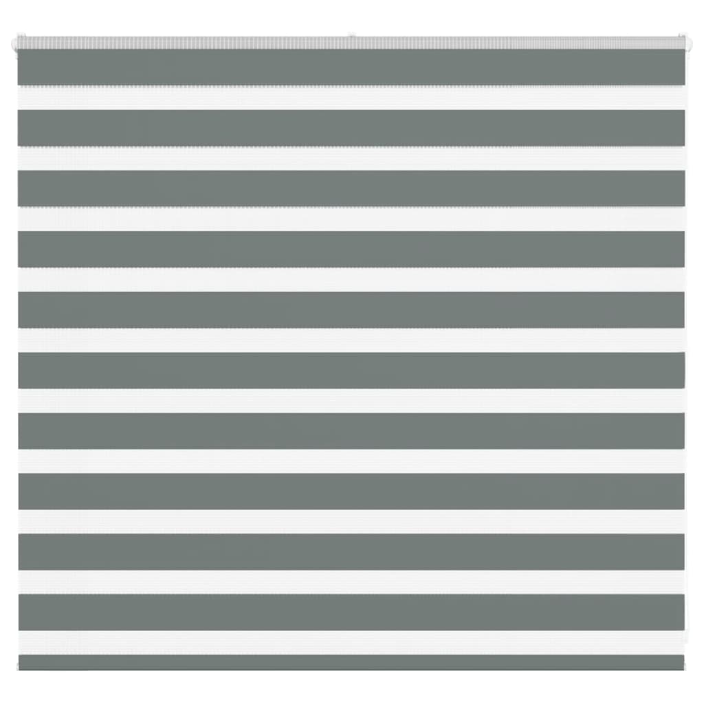 vidaXL Estor cebra gris oscuro tejido ancho 160,9 cm poliéster