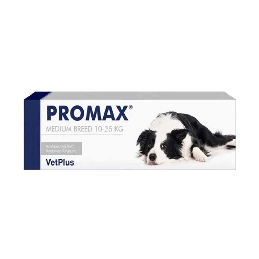 Promax para perros de razas medianas jeringa de 18 ml suplemento digestivo VetPlus