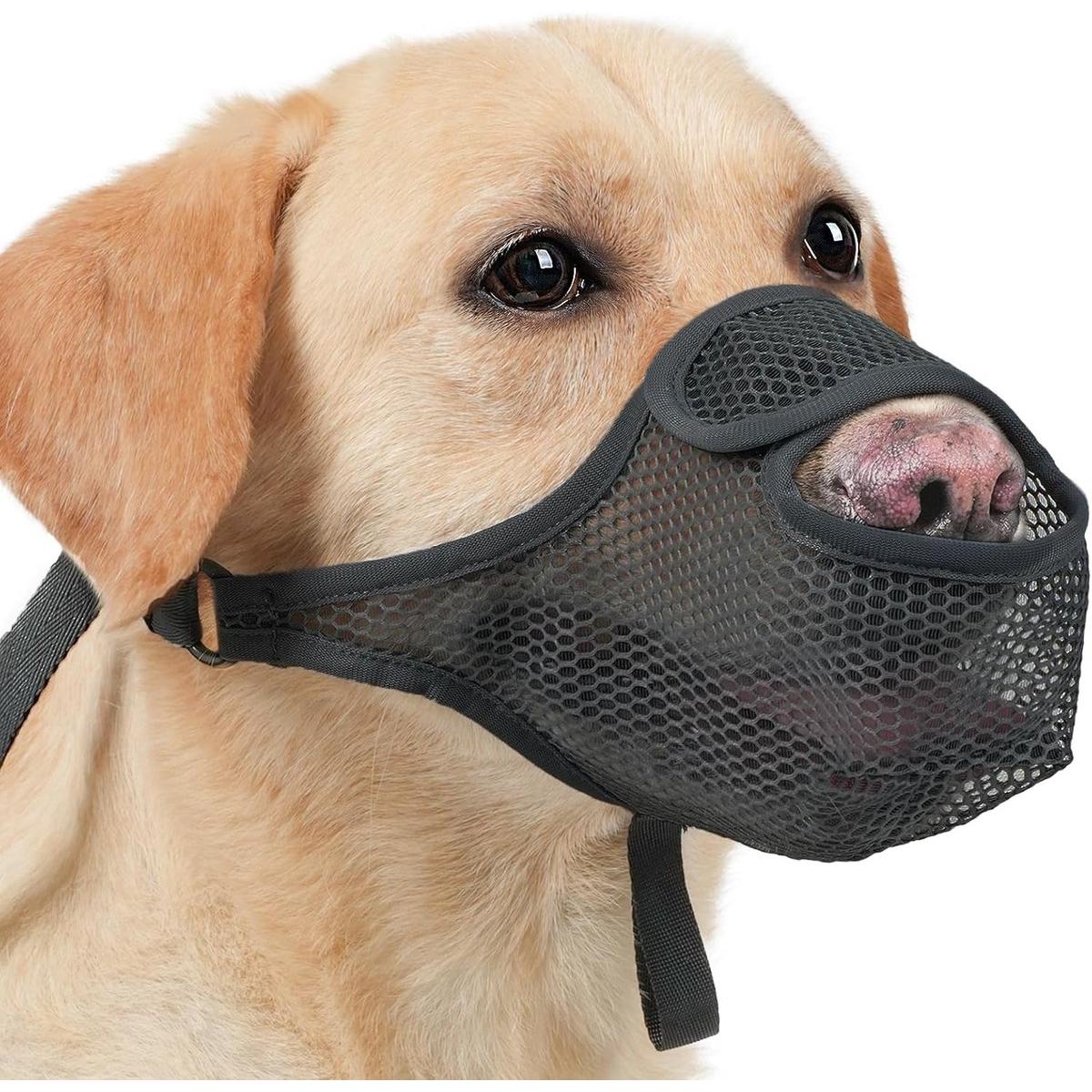 Om Home Bozal para perros - Bozal de malla de nailon - Protector bucal transpirable y cómodo - Con correa ajustable y abertura frontal - Ideal para beber y jadear - Apto para perros grandes, medianos y pequeños (XL)