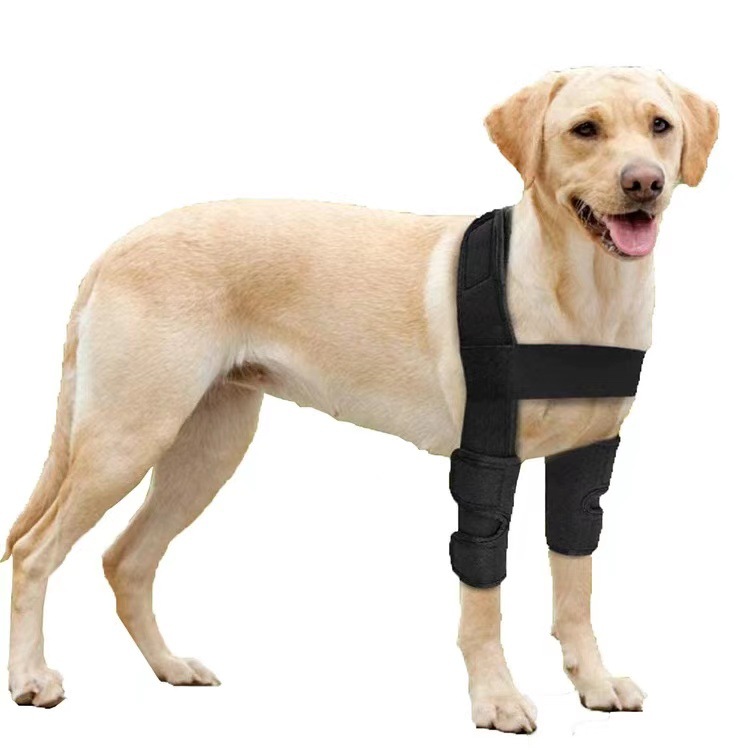 TK Codera protectora para perros - Soporte transpirable para codos con eccema, displasia, osteoartritis y callosidades - Soporte de hombro canino