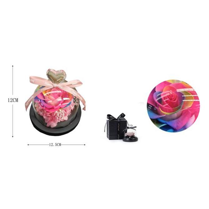 Rosa de Eternidad colorida en una cúpula de cristal ideal Regalo para el día de San Valentín