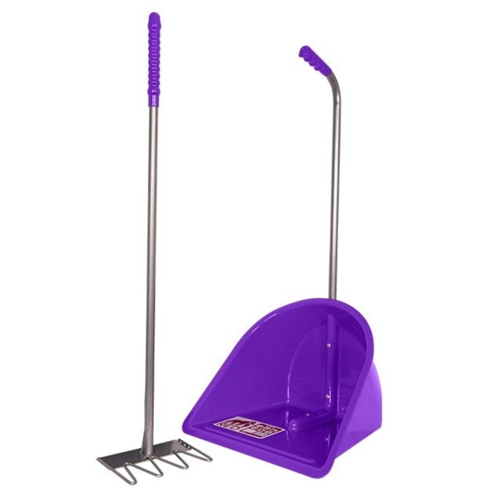 Bricoloco.com Recogedor para Jardín con Rastrillo Gran Capacidad Mango Aluminio Resistente