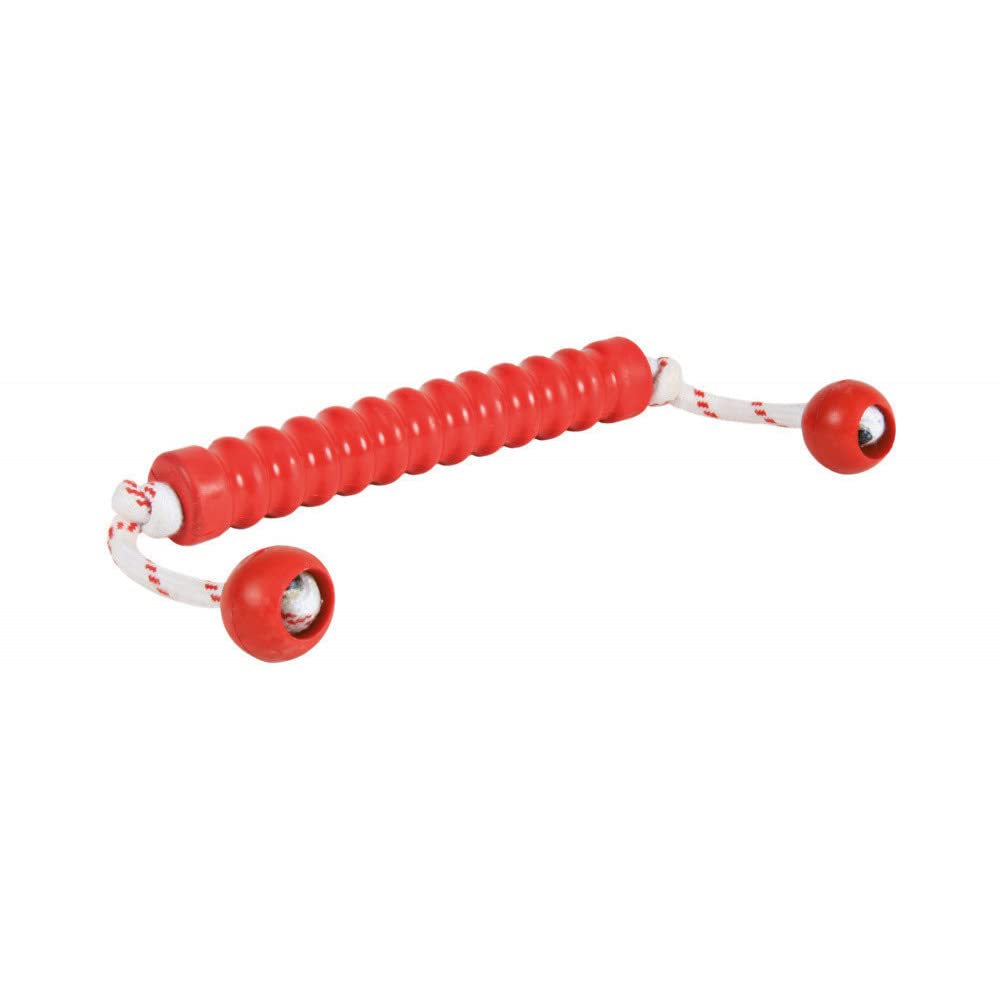 TRIXIE Juguete Mot-Long DogActivity, Caucho,Flotante,20cm