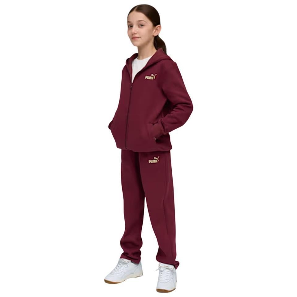 Chandal Puma Hooded Swea Metalic Granate 689729-96