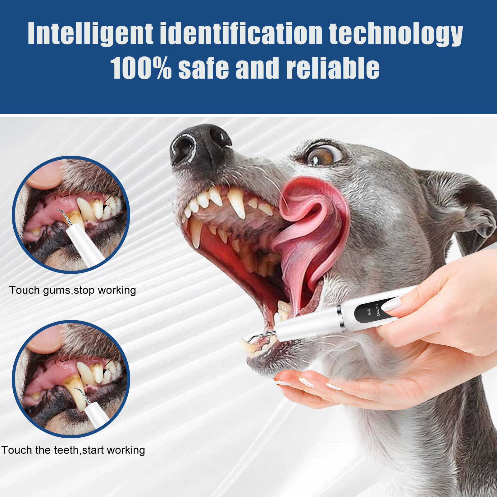 Limpiador dental ultrasónico para perros y mascotas, dispositivo eléctrico para eliminar sarro y placa, kit de limpieza dental en casa, removedor de sarro dental ultrasónico.