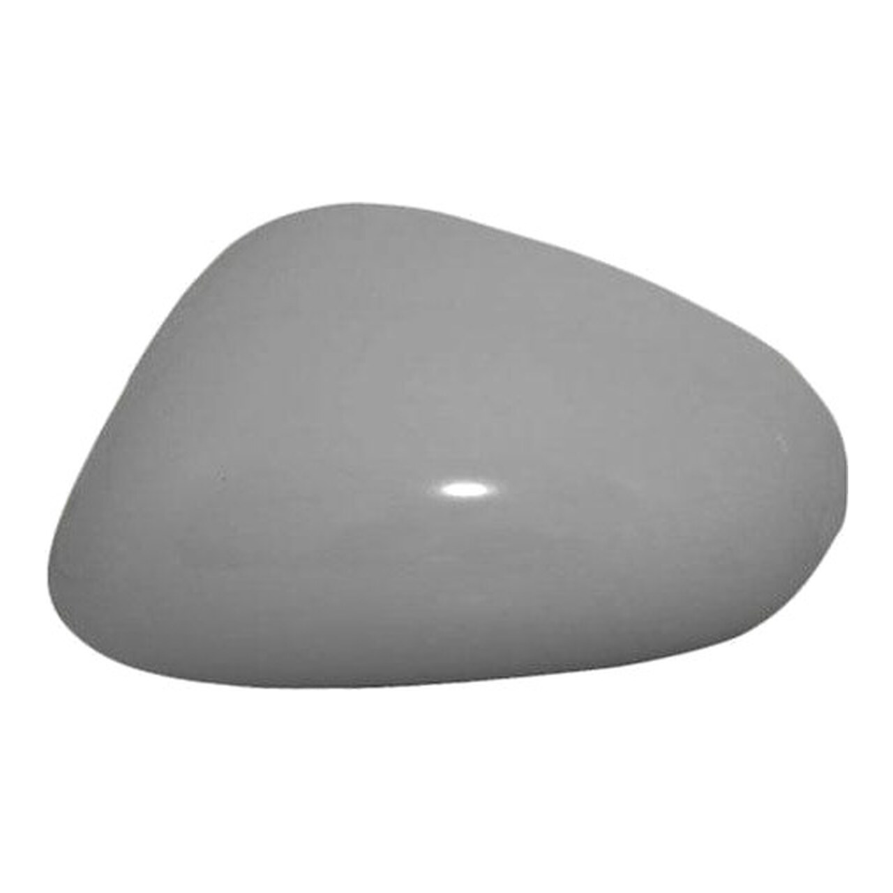 Carcasa Espejo Retrovisor Izquierdo 41854321