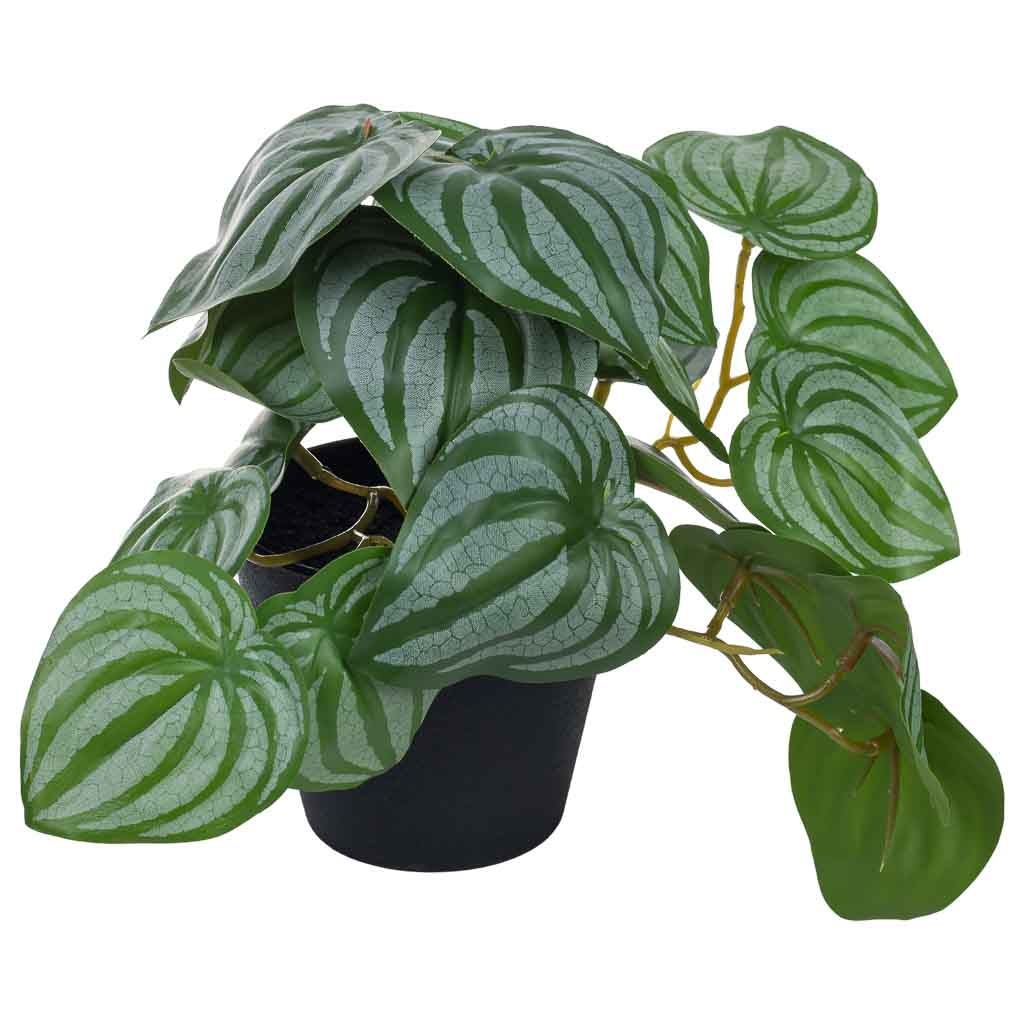 Wonderlust Deco - Planta peperomia decorativa artificial verde 22x17x17h cm Verde 22x17x17h cm