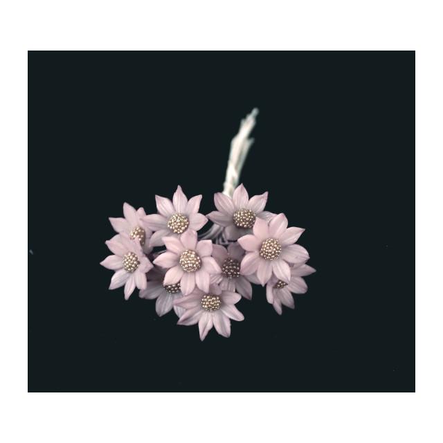 FLOR DE PORCELANA FRÍA 1,2 CM