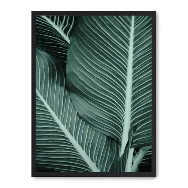 Lámina con marco negro LEAVES II 21x30 cm, Póster impreso en papel de primera calidad de 180gr, montado sobre marco de madera MDF acabado en negro., Botánica - Naturaleza - Playantas