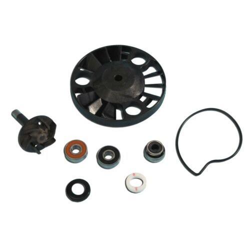 Kit Reparacion Bomba Agua Apirlia/piaggio 125/200cc. 4t Ce U