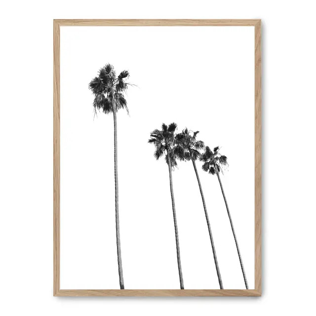 Cuadro palm tree line up ii 30x40cm, Póster impreso en papel de primera calidad de 180gr, montado sobre marco de madera MDF acabado roble., Botánica - Palmeras