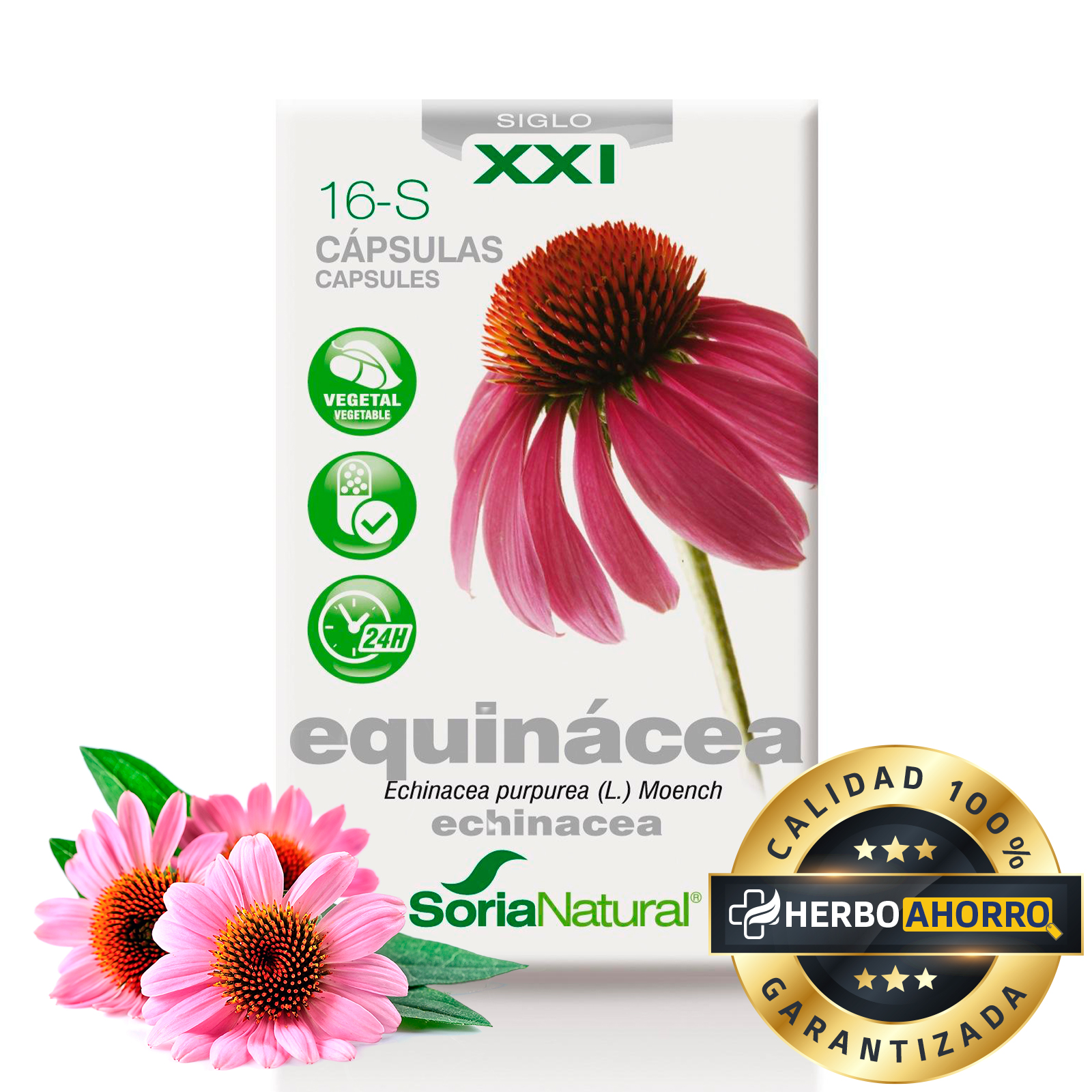 Equinácea en cápsulas Soria Natural - Ayuda al sistema inmunológico - Alta Absorción - 30 cápsulas